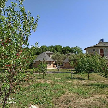 Hotel Sunset Troia Dalyankoy  Экстерьер фото
